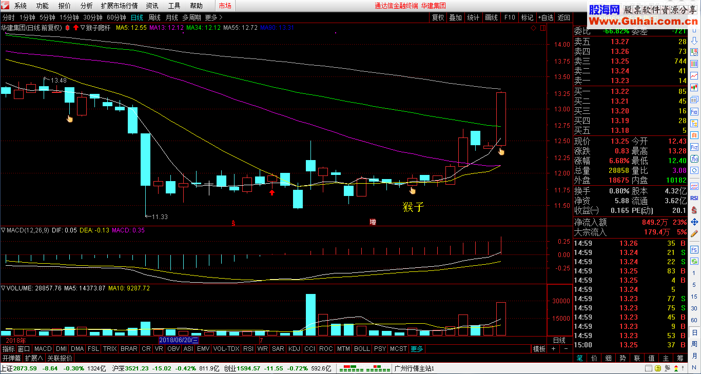 猴子爬杆看东方(指标 主图 通达信 贴图)