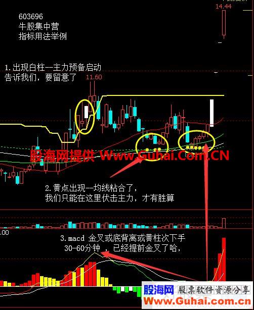 通达信NXZ-MACD副图指标无加密