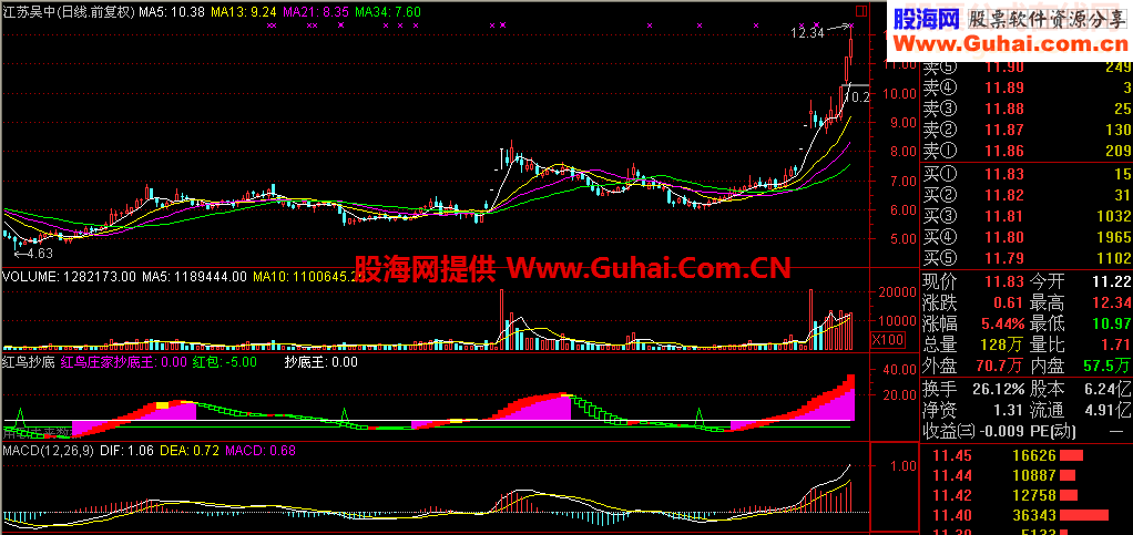 红鸟庄家抄底王（副图、源码、贴图）