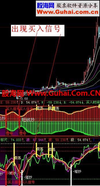 杨百万全套指标2013最新版【官网正版】