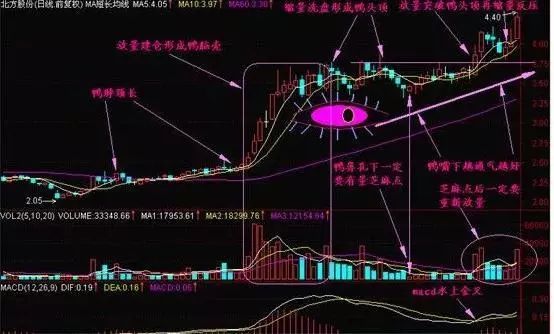 炒股冠军透露一分钟选股战法，轻松把握买卖点位，值得千万散户珍藏