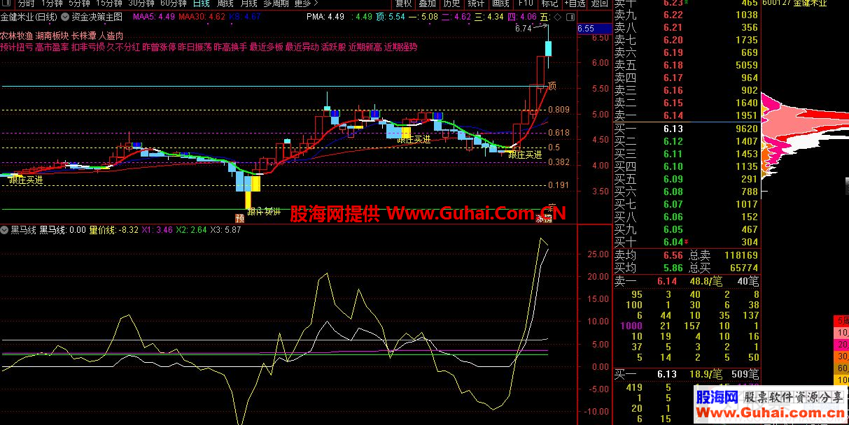 通达信量价黑马线副图指标抓牛股