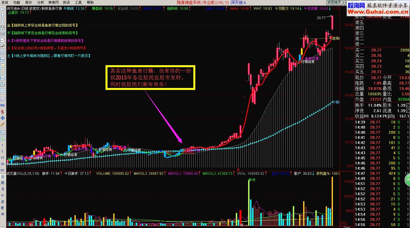 新版鱼身行情指标——新年隆重登场