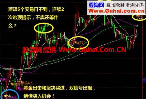 主力看盘（指标 主图 通达信 贴图）