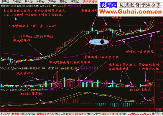 至尊老鸭头超级选股法