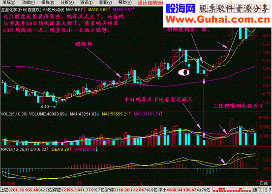 至尊老鸭头超级选股法