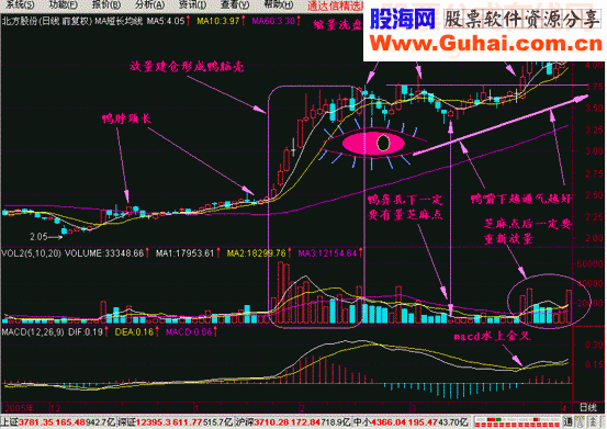 至尊老鸭头超级选股法