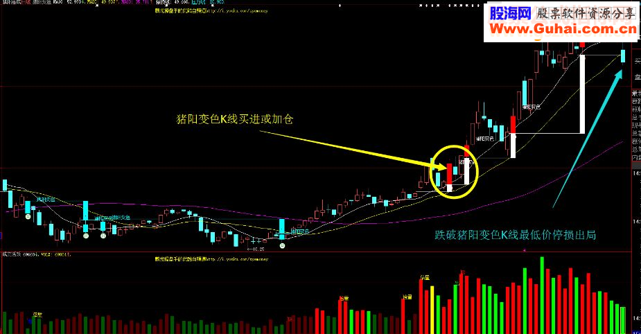 大智慧《指标十年》“猪阳变色”买点的原理和使用方法 主图指标