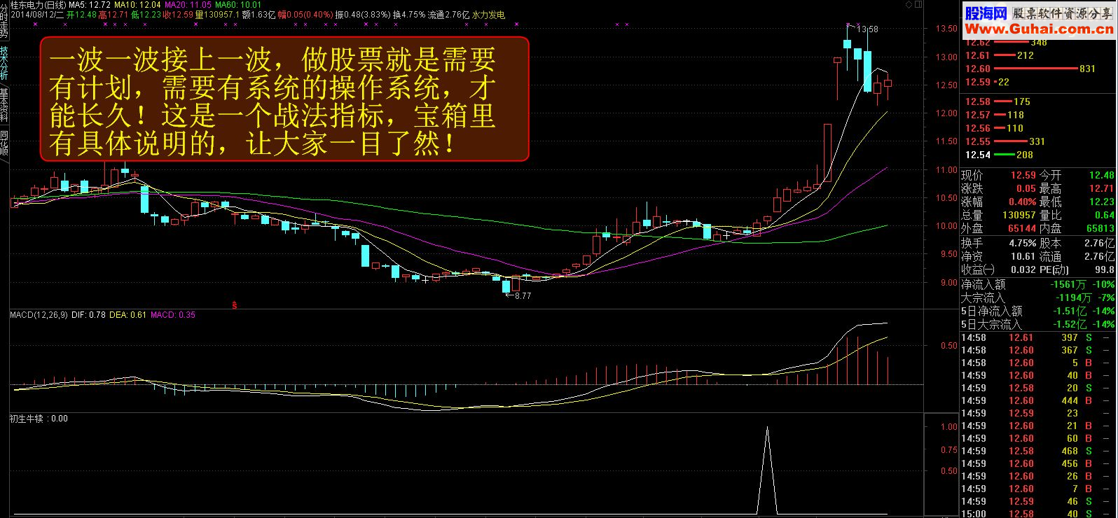 通达信【金钻精品指标】稳健跑步上升之初生牛犊