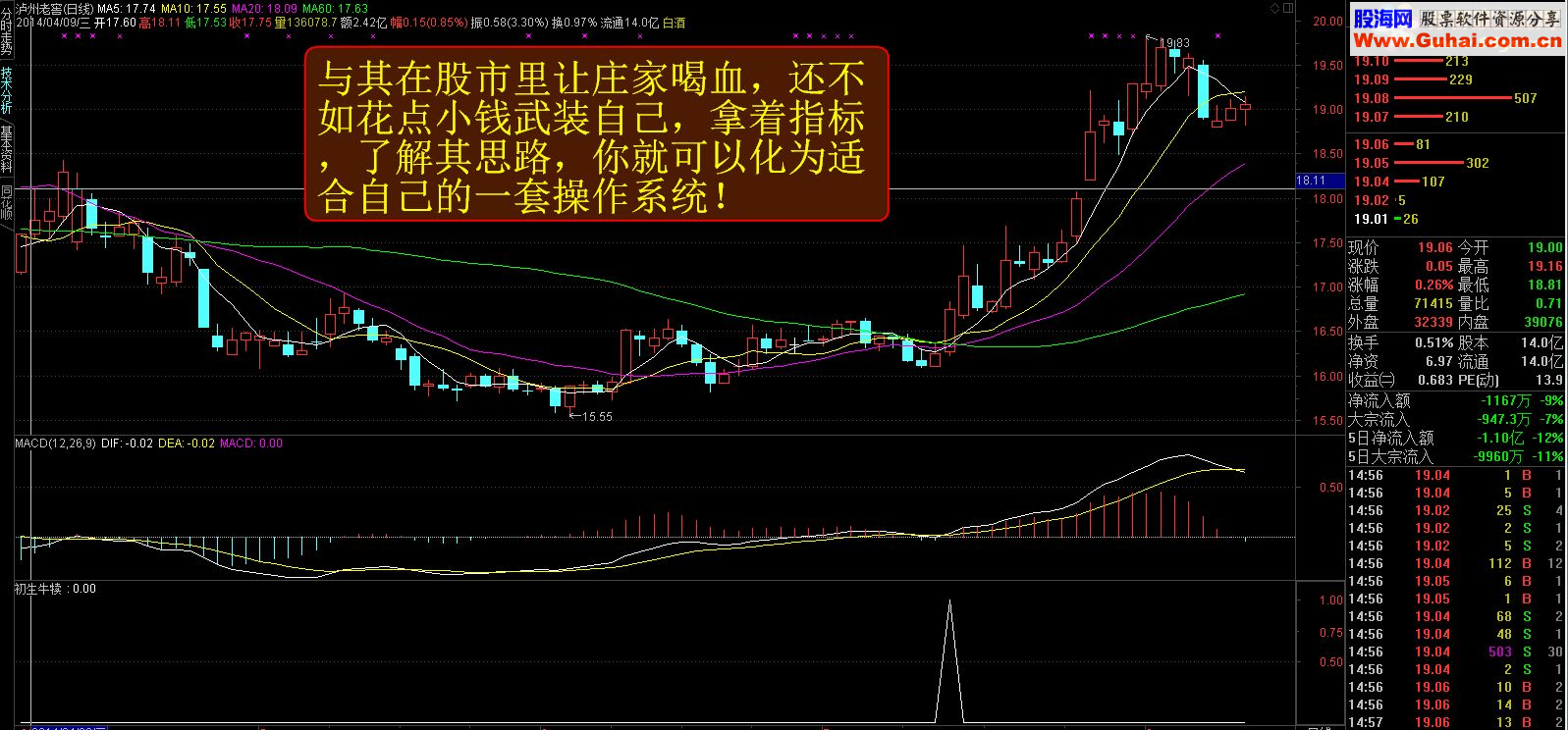 通达信【金钻精品指标】稳健跑步上升之初生牛犊