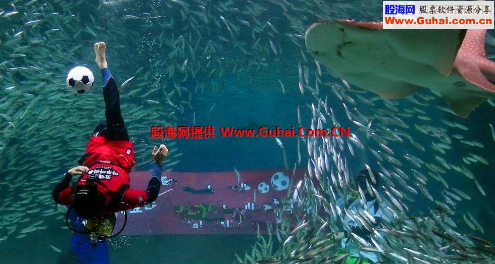 右一脚炒股赢