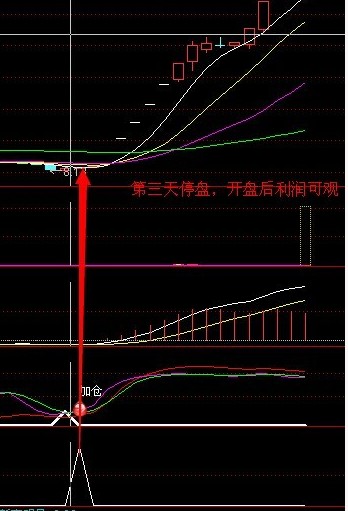 通达信绝地反击公式