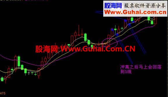 金凤凰