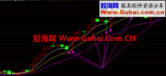 金凤凰