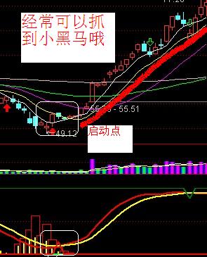 通达信黑马的摇篮指标副图无未来
