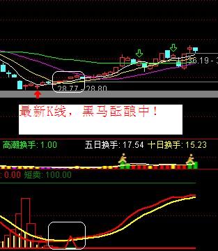 通达信黑马的摇篮指标副图无未来