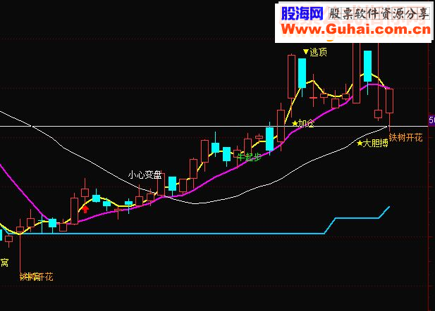 狂牛起步 铁树开花指标，这个指标真是神奇从45涨到64