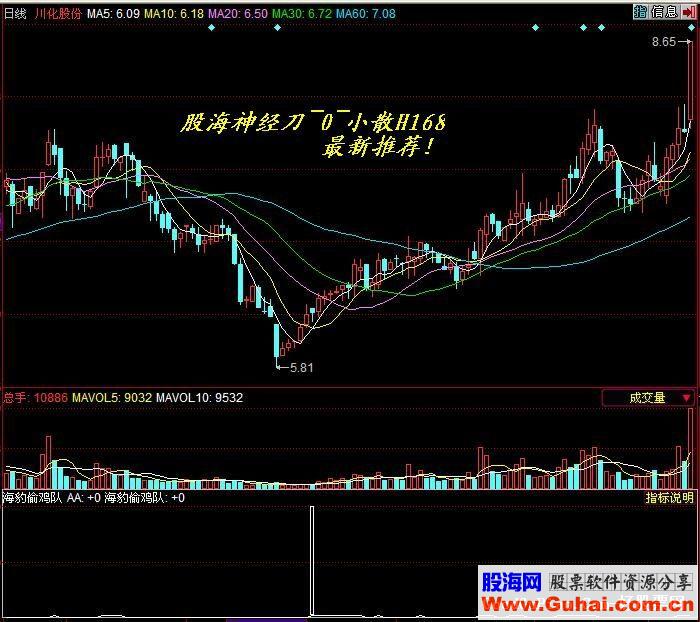 同花顺海豹偷鸡队源码副图