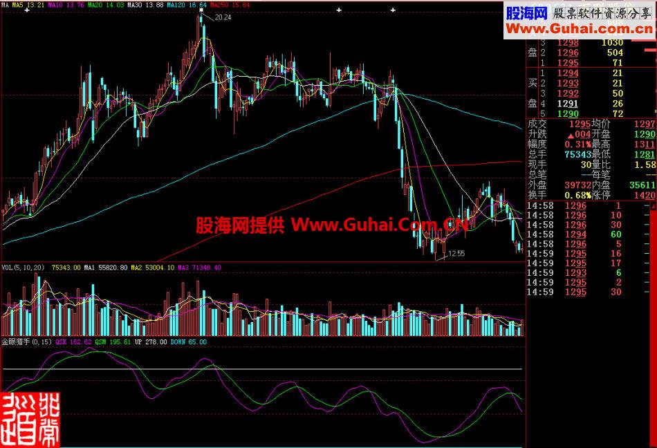 大智慧金眼猎手副图指标