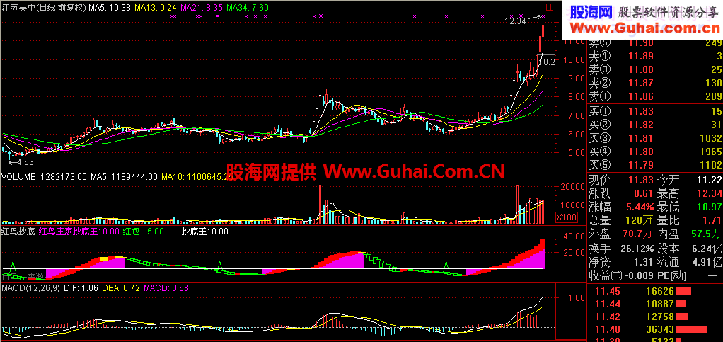 红鸟庄家抄底王副图源码