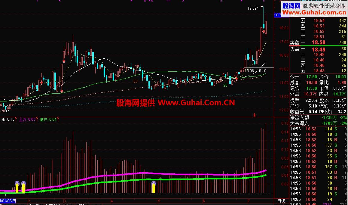虎来了！主力与散户