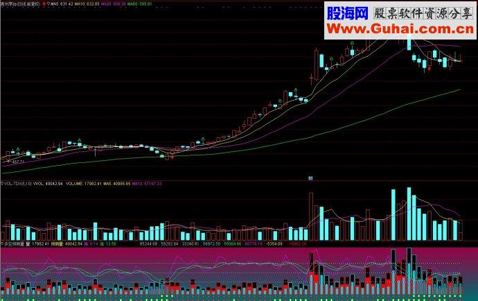 通达信多空预测量副图源码