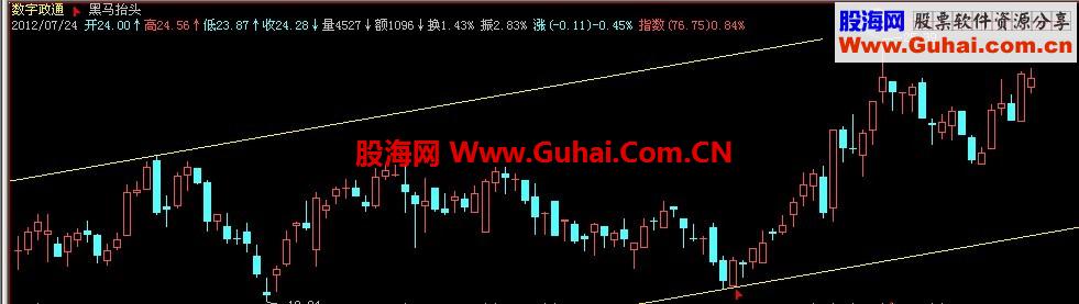 黑马抬头