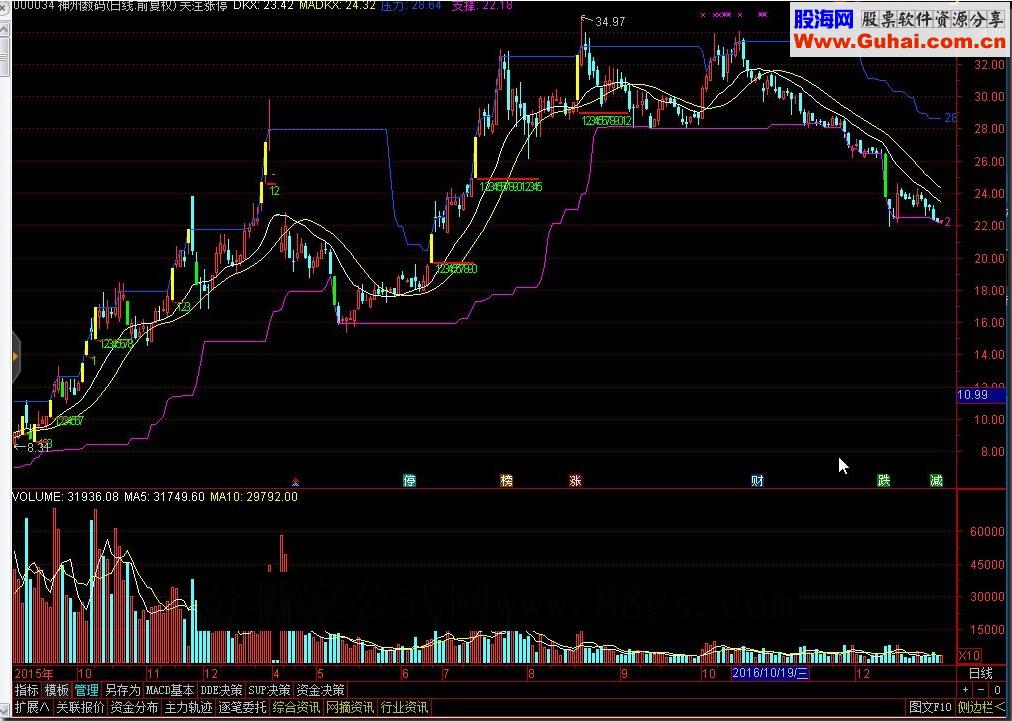 通达信关注涨停（指标源码主图贴图无未来）