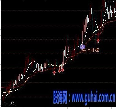 【共振主图】