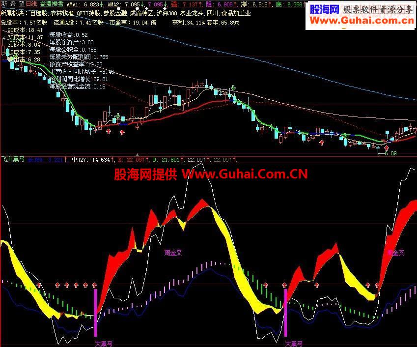 大智慧飞升黑马源码