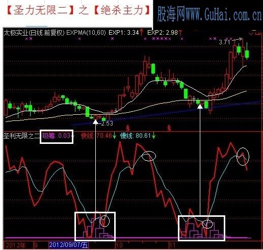 私家珍藏[圣利无限之绝杀主力]成功率98%附赠主图+附图+指标说明文档