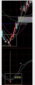 通达信出现提示即时买入不想发财都难