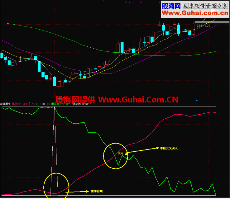 金牌黑牛指标