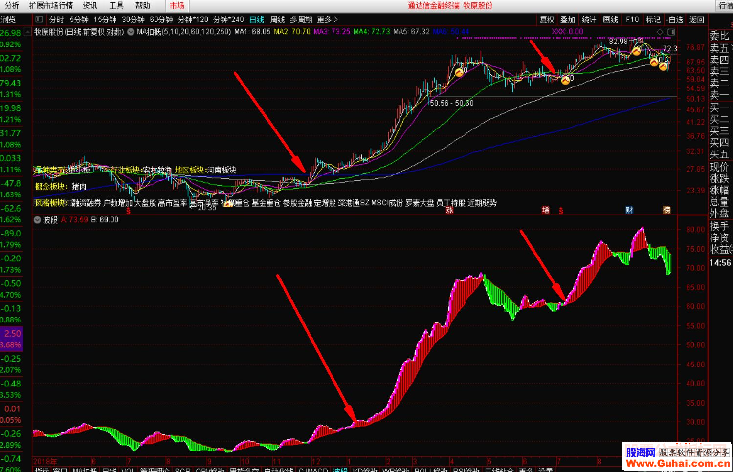 通达信波段王公式副图源码测试图抓住大波段期货股票双赢