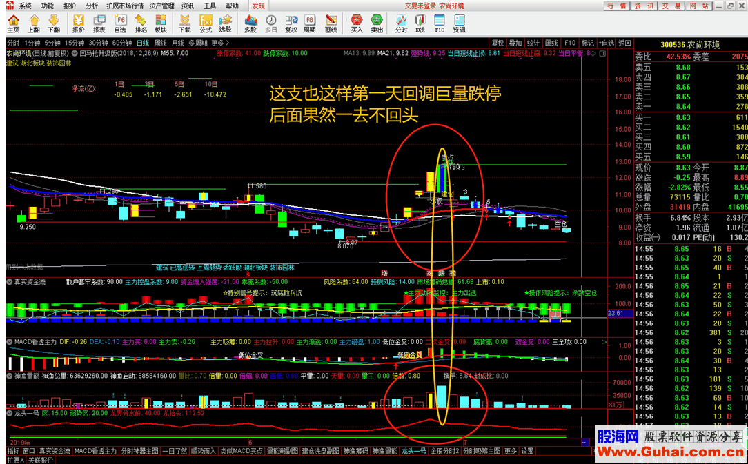 通达信回马枪超强升级版（指标选股贴图）