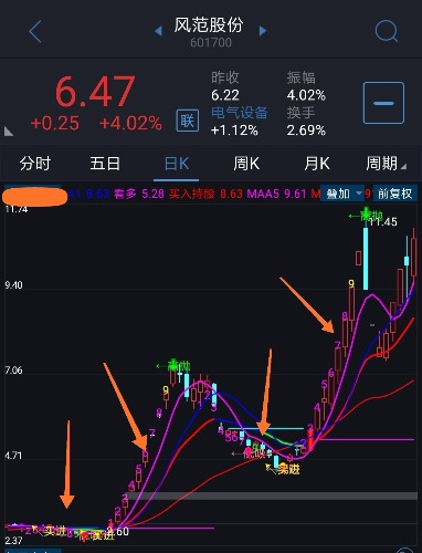 金光大道(九转变异-主图)无未来