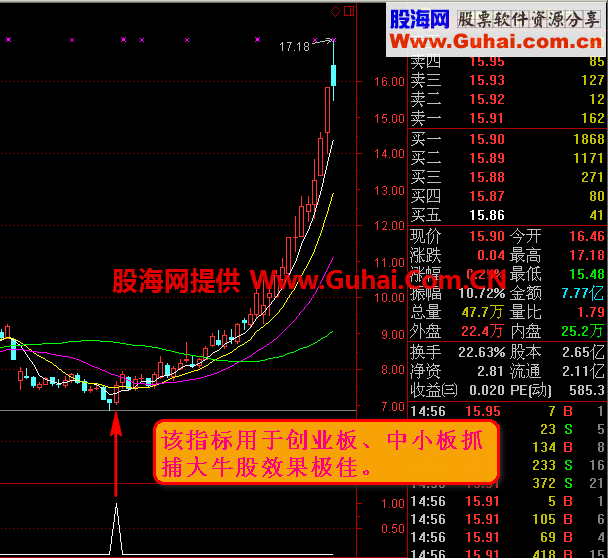 专抓捕黑马 完全加密 不喜误入