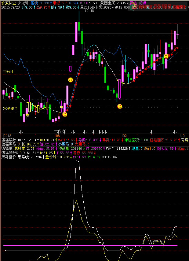 飞狐黑马量价副图，源码
