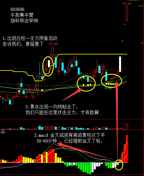 通达信NXZ-MACD副图指标 你可以一周提升至少5年的操盘功力